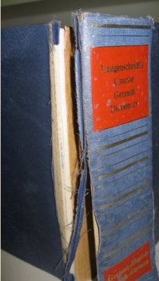 Example of damaged spine